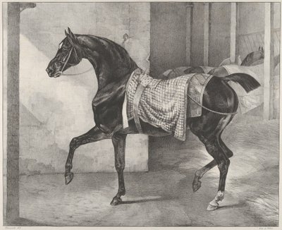 Svart häst uppbunden i ett stall av Theodore Gericault