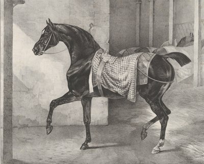 Svart häst bunden i ett stall, 1822. av Theodore Gericault