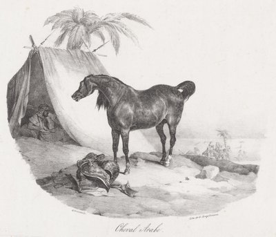 Arabhäst (An Arabian Horse) av Theodore Gericault