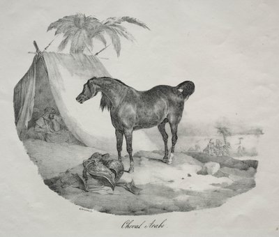 Arabisk häst. av Theodore Gericault