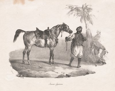 egyptisk sto av Theodore Gericault
