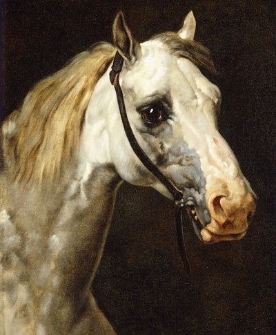 Huvudet av en lappad häst, av Theodore Gericault