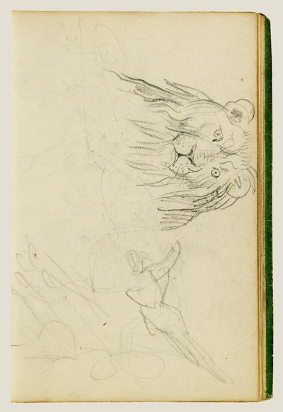 Framifrånvy av ett sittande lejon av Theodore Gericault