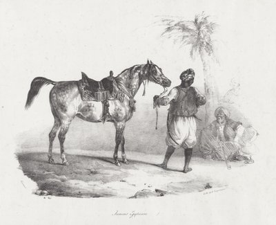 Egyptisk sto (An Egyptian Mare) av Theodore Gericault