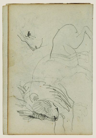 Studier av lejon av Theodore Gericault