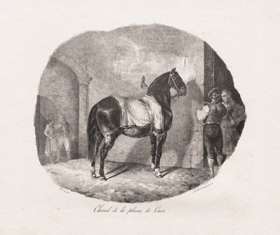 Litograferade studier av hästar: Pl. 7, Häst från Caenslätten, 1822. av Theodore Gericault