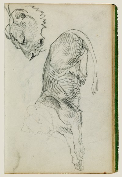 Sittande lejon, huvud av lejoninna av Theodore Gericault