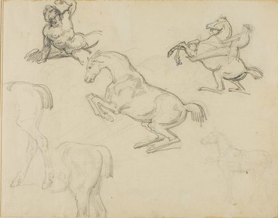 Skisser: Liggande naken, en ryttare och olika hästar av Theodore Gericault