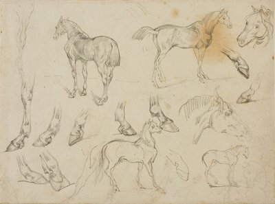 Skisser av en häst av Theodore Gericault
