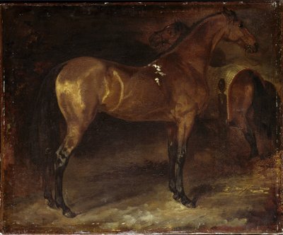 Spansk häst - olja på duk av Theodore Gericault