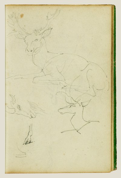 Studier av en sittande hjort, ett hjortkalv och ett gethuvud av Theodore Gericault
