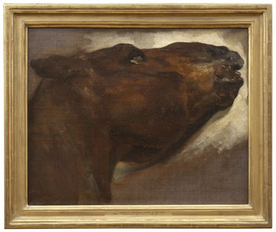 Studie av en död häst av Theodore Gericault