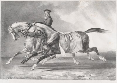Två gråspräckliga hästar som motioneras av Theodore Gericault