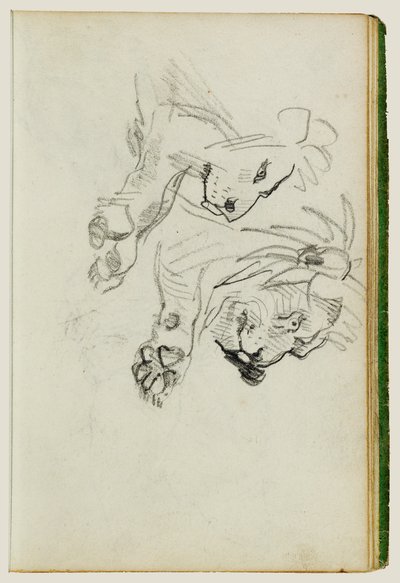 Två studier om lejon av Theodore Gericault