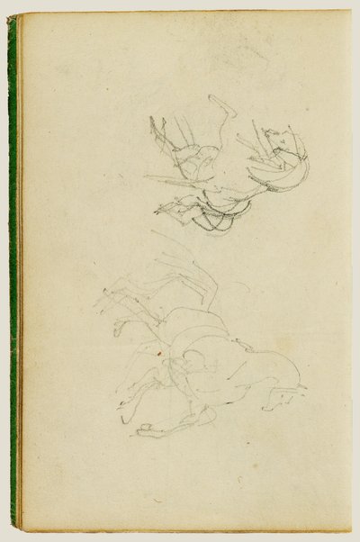 Två studier av en uppfödningshäst av Theodore Gericault