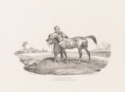 Olika motiv tecknade efter naturen och på sten:  En arabhäst av Theodore Gericault