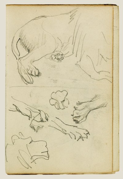 Olika studier av lejonets ben, tassar och huvud av Theodore Gericault