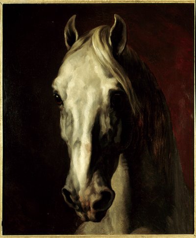 Vitt hästhuvud. Målning av Theodore Gericault (1791-1824) av Theodore Gericault