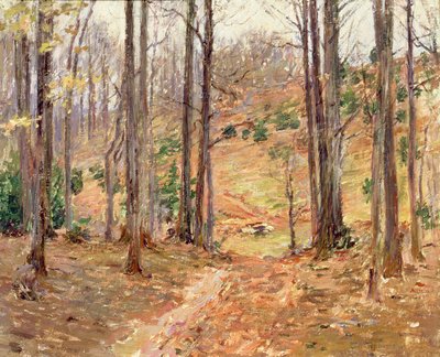 Virginia Woods, 1893 av Theodore Robinson