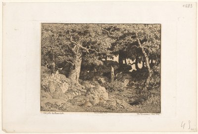 Ekar på stenar Chenes de Roche (originaltitel) av Theodore Rousseau