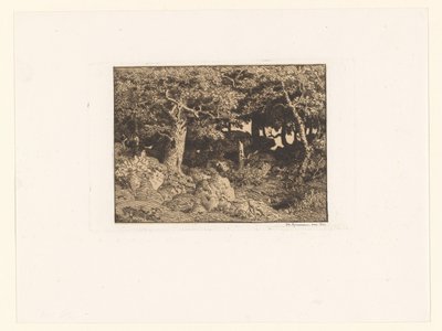 Ekar på klippor Chenes de Roche (originaltitel) av Theodore Rousseau