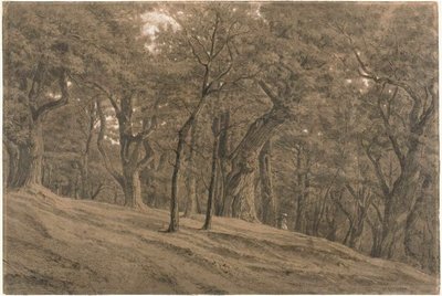 I Fontainbleaus skog av Theodore Rousseau