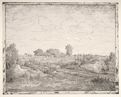 Växtslätten i Biau av Theodore Rousseau