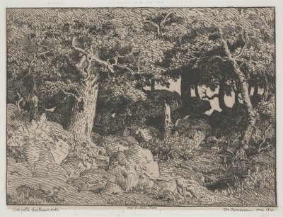 Ekar och stenar av Pierre Etienne Theodore Rousseau