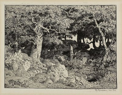 Ek från Rocks av Theodore Rousseau