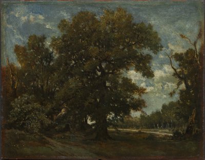 Eken av Theodore Rousseau