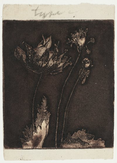 Sista vallmo av Theodore Roussel