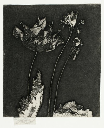Sista vallmo av Theodore Roussel