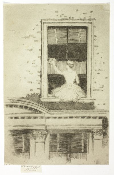 Fönsterputsaren av Theodore Roussel