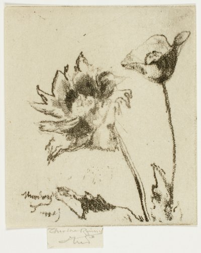 Två blommor av Theodore Roussel
