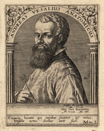 Andreas Vesalius, flamländsk läkare, anatom av Theodore de Bry