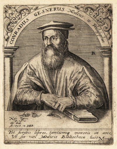 Conrad Gessner, schweizisk läkare av Theodore de Bry