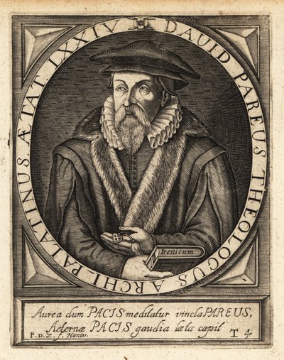 David Pareus av Theodore de Bry