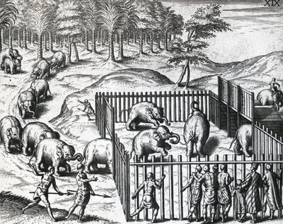 Elefantjakt i kungariket Pegu, nu Myanmar, av Theodor de Bry (1528-1598), gravyr av Theodore de Bry