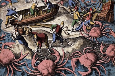 Europeiska navigatörer som slåss mot stor krabba. Gravyr från "Petities voyages aux Indes Orientales" av Theodore de Bry av Theodore de Bry