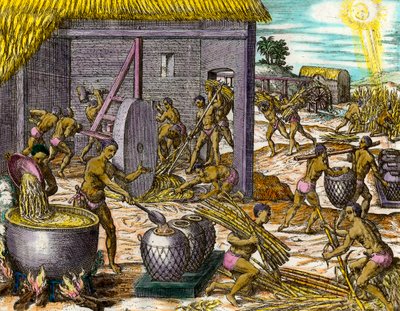 Amerikas historia: samla sockerrör och göra socker. Gravyr av Theodore De Bry (1528-1598) Privat samling från 1500-talet av Theodore de Bry
