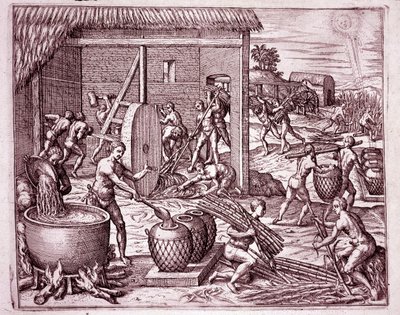 Amerikas historia: skörd av sockerrör och sockerproduktion av indiska slavar som arbetar för de spanska conquistadorerna (gravyr av Theodore de Bry