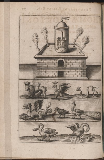 Illustration för Tripus Avrevs, det vill säga tre avhandlingar av utvalda kemister.., 1618 av Theodore de Bry