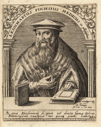 Leonhart Fuchs, tysk läkare och botaniker 1501-1566. av Theodore de Bry