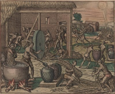 Slavar bearbetar sockerrör och gör socker, 1595. av Theodore de Bry