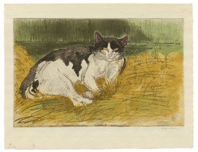 Gammal svartvit katt i gräset av Théophile Alexandre Steinlen