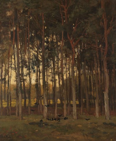 Utsikt i skogen av Theophile de Bock