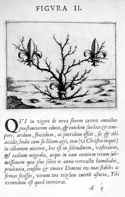 Profetifigur II från Prognostication of the Eximii Doctor Paracelsus, 1536 av Theophrastus Bombastus von Hohenheim Paracelsus