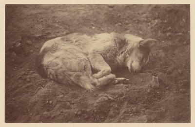 [Sleeping Dog] av Théodule Devéria
