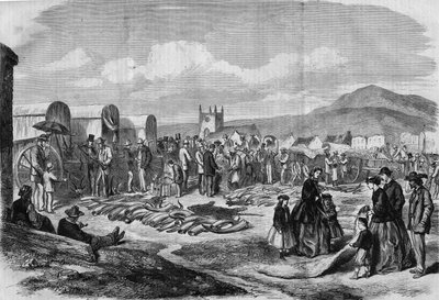 Elfenben och skinnmarknad i Grahamstown, Albanien, Kapkolonin av Thomas (after) Baines