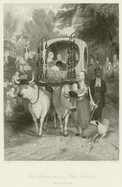 Sultana i hennes delstat Arrhuba av Thomas Allom